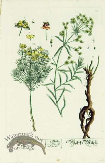 Blackwell German 227